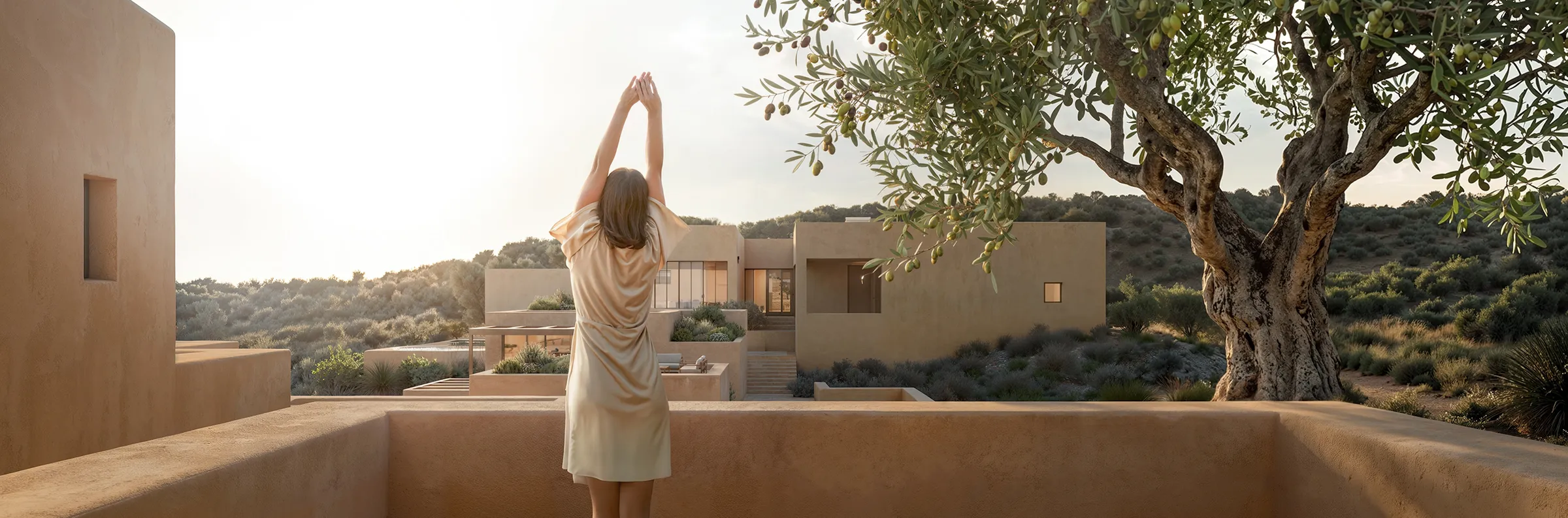 A woman stretching at sunrise on the terrace, the olive tree