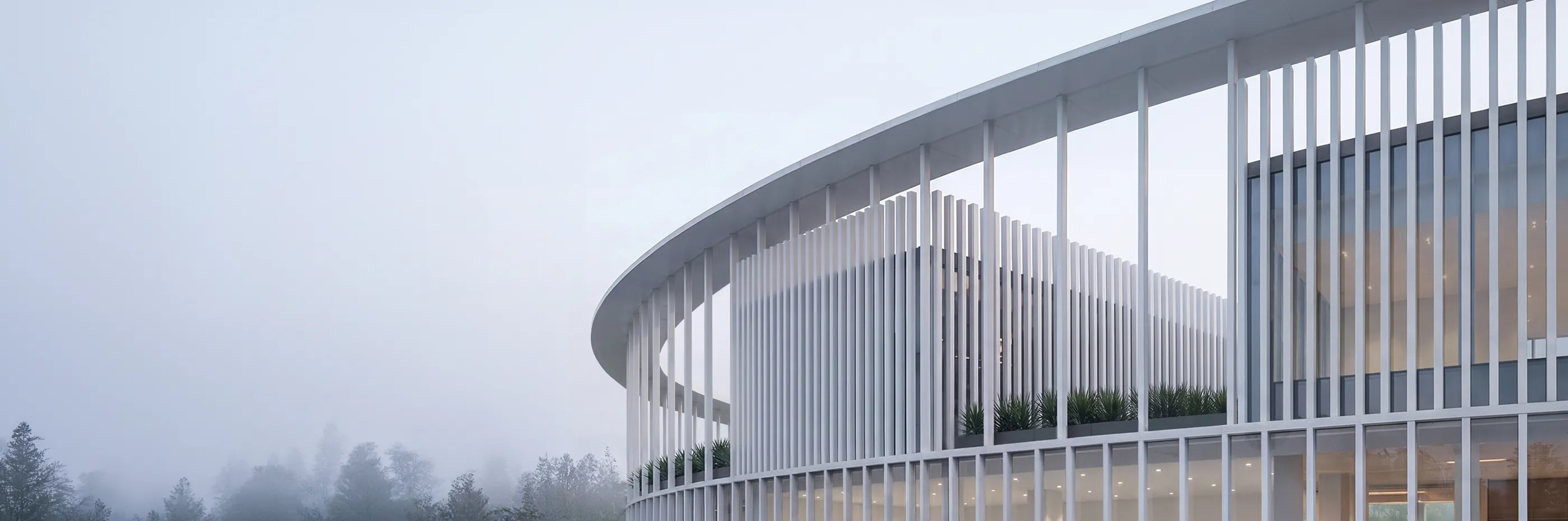 The ring of columns emerging from the mist