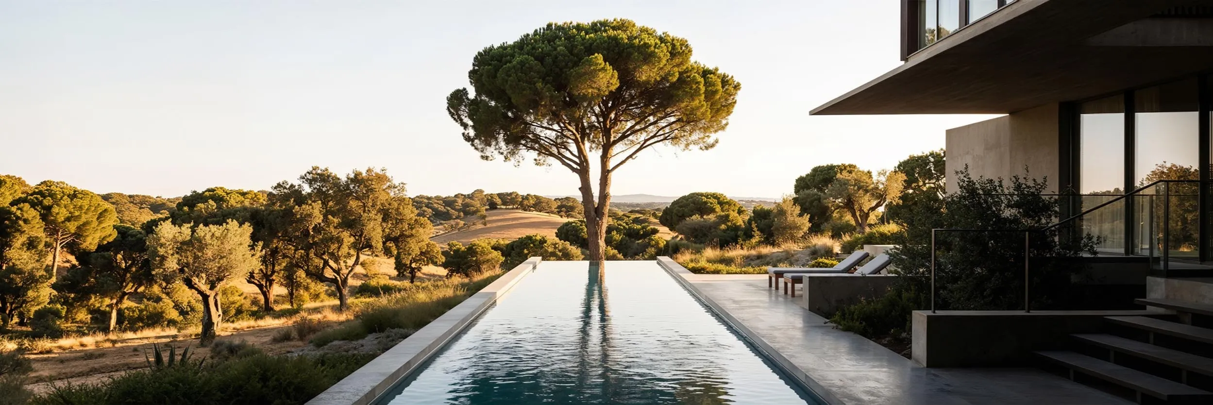 The long pool and the stone pine at golden hour, the house on the right