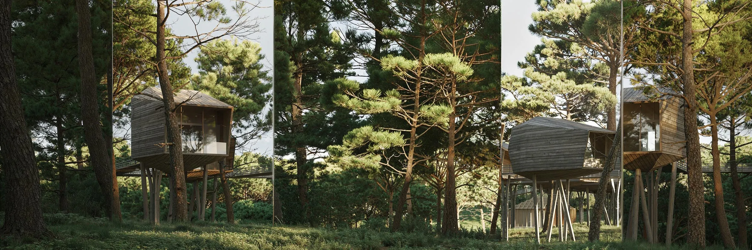 The cabins on slender legs among the pines