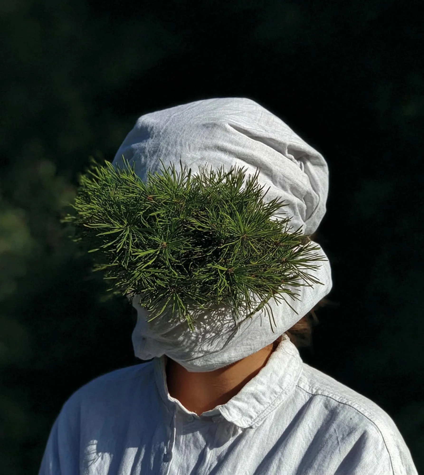 Portrait with a bush of foliage for a head