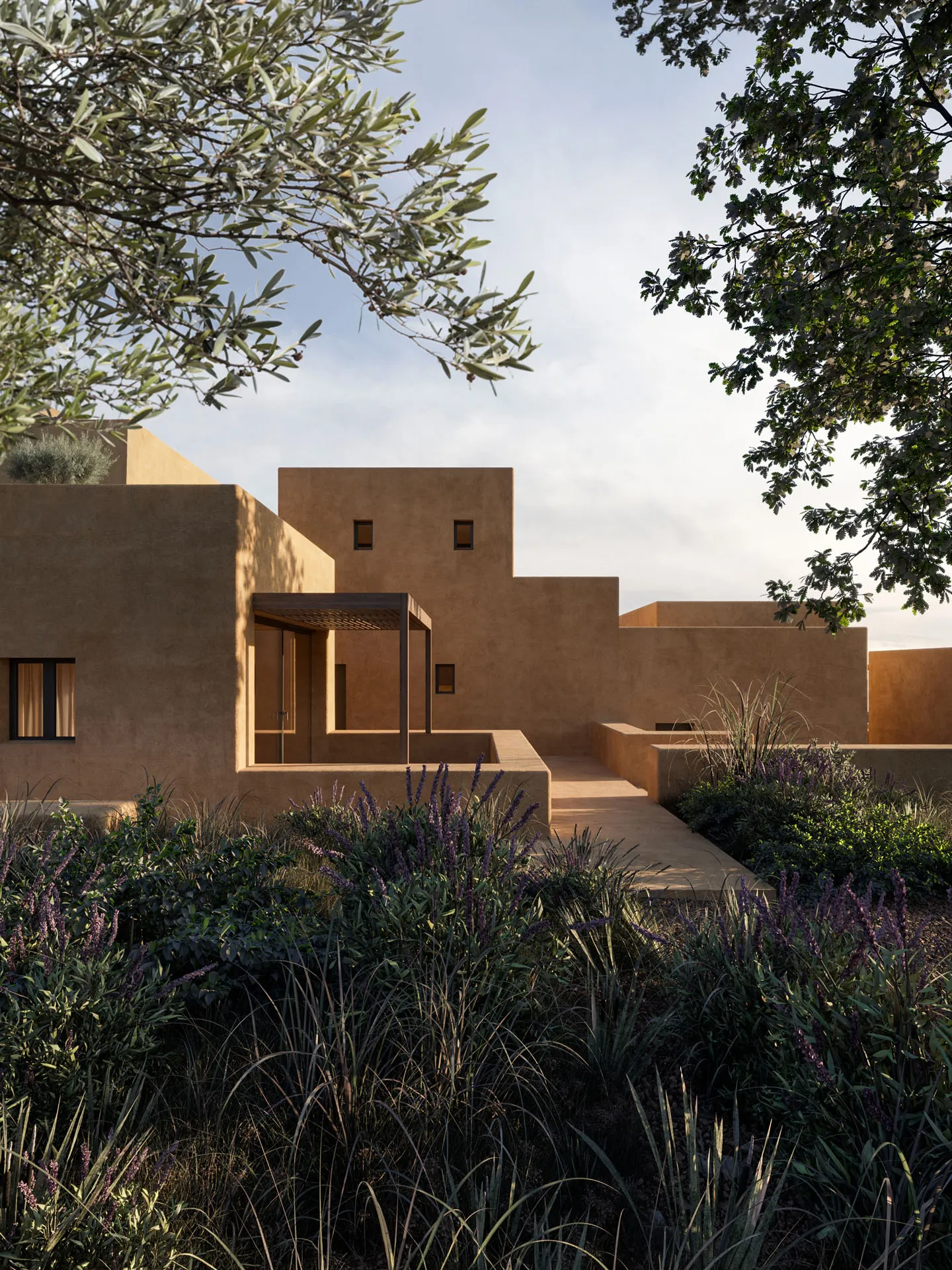 The hotel volumes under the olive tree, lavender in front