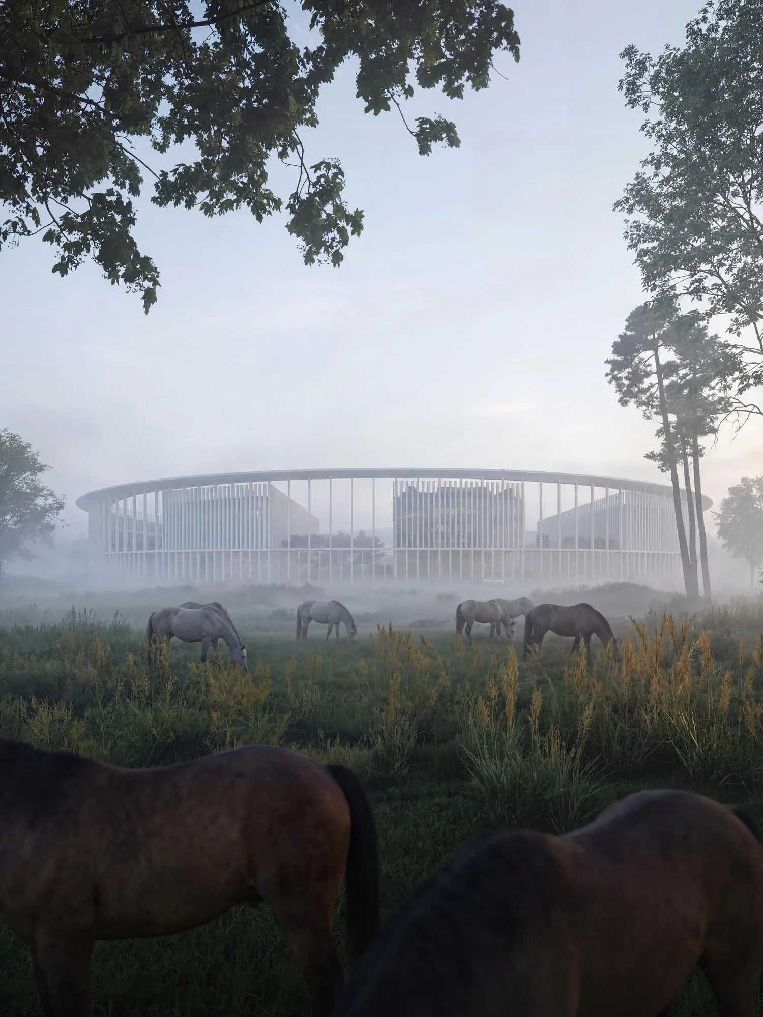 Horses grazing in the mist, the ring behind the trees