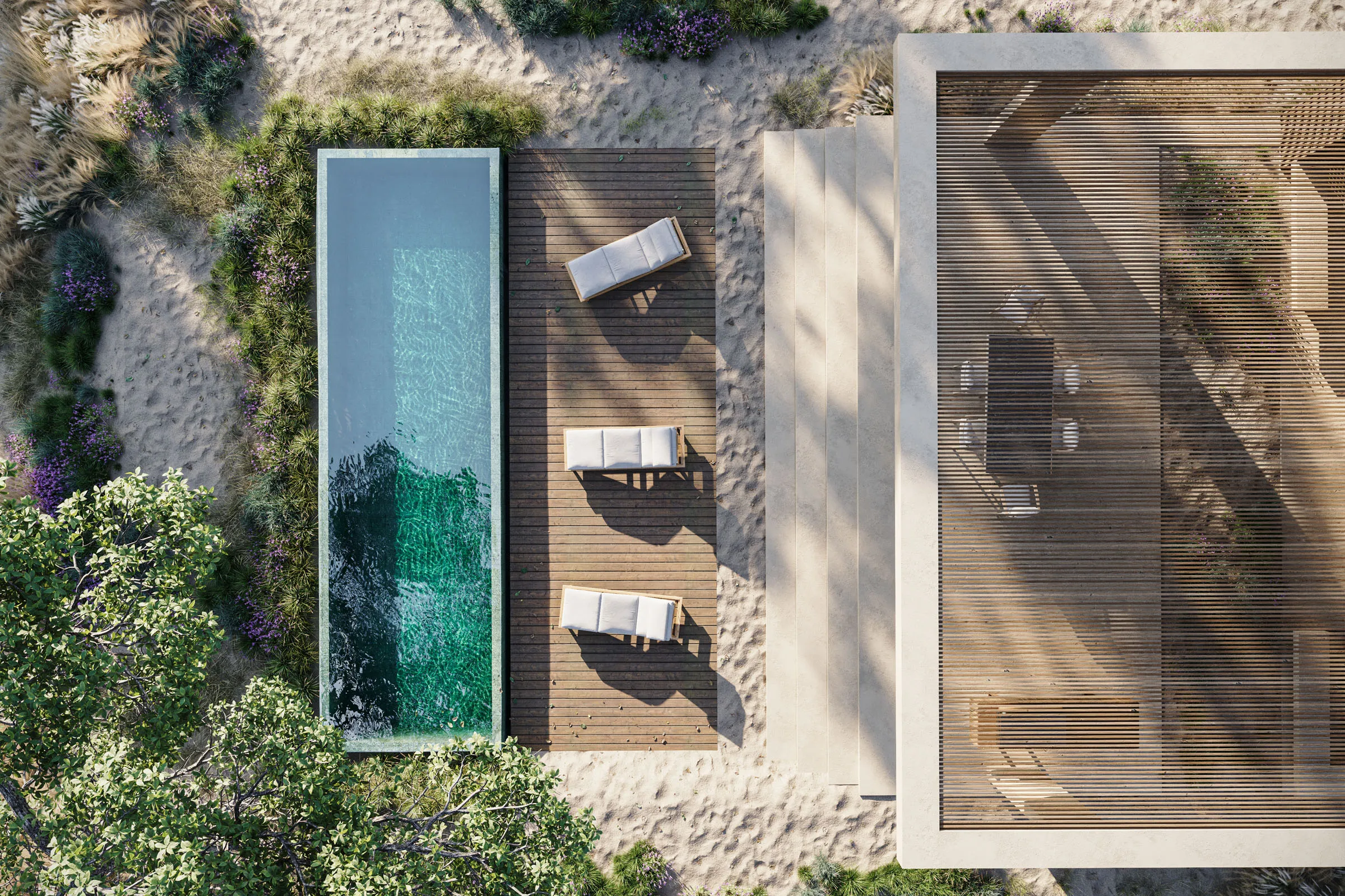 Aerial view of the pool, the wooden deck and the dunes