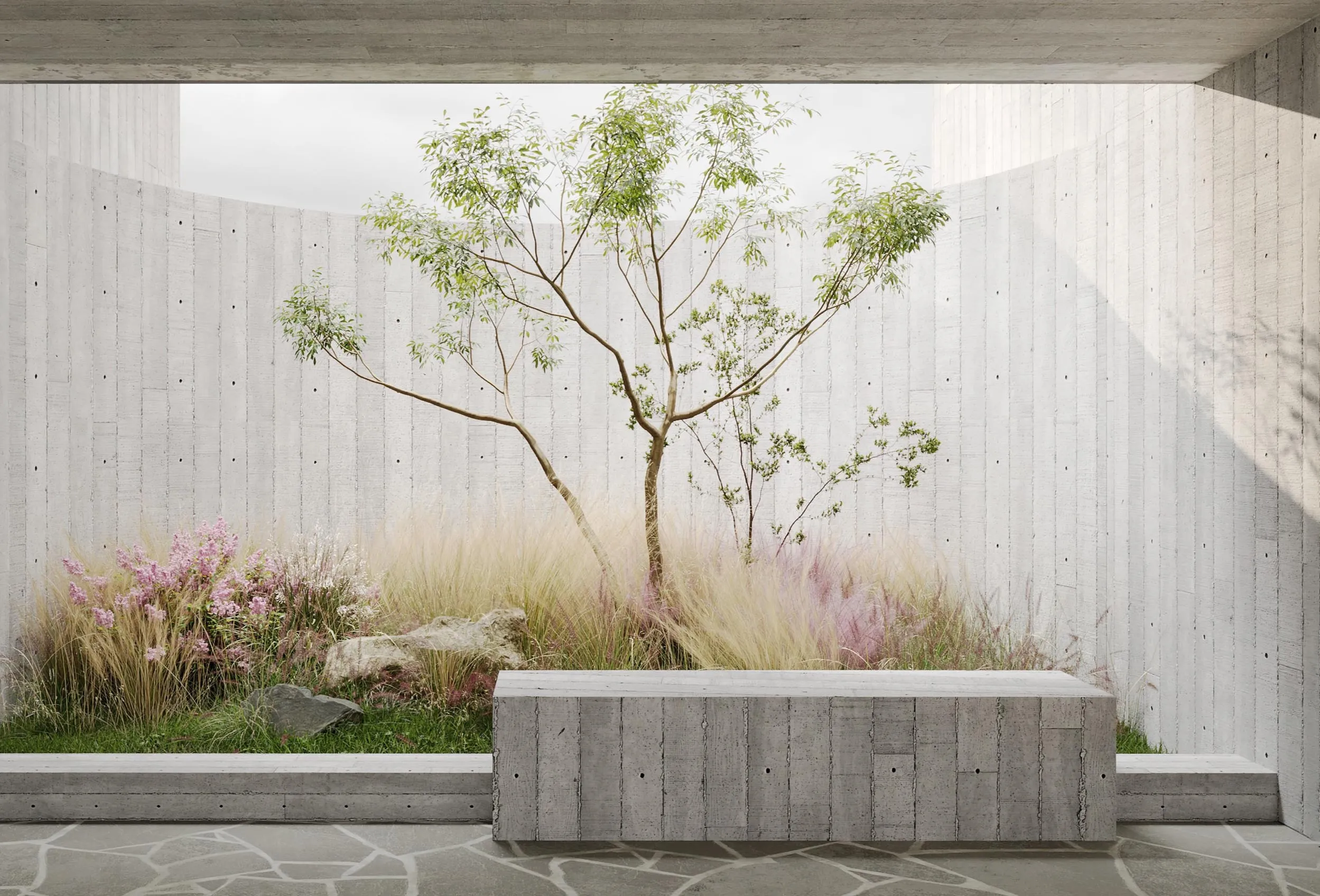 Courtyard with a tree and the concrete basin