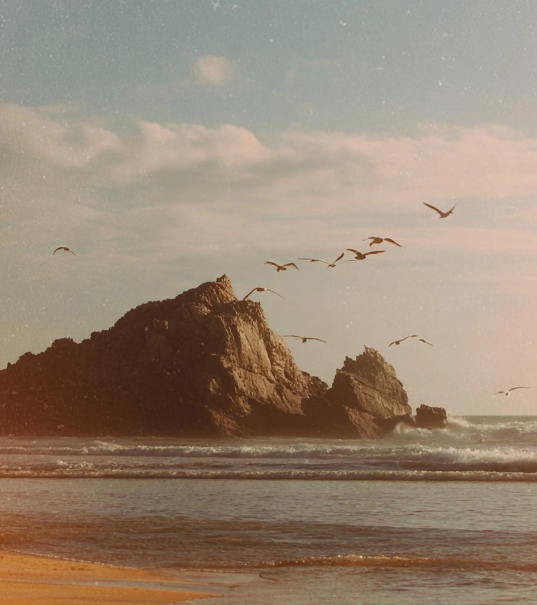 Rocky coast at sunset