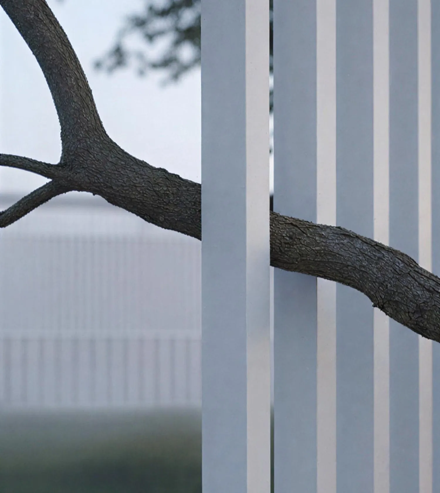 Oak branch and columns