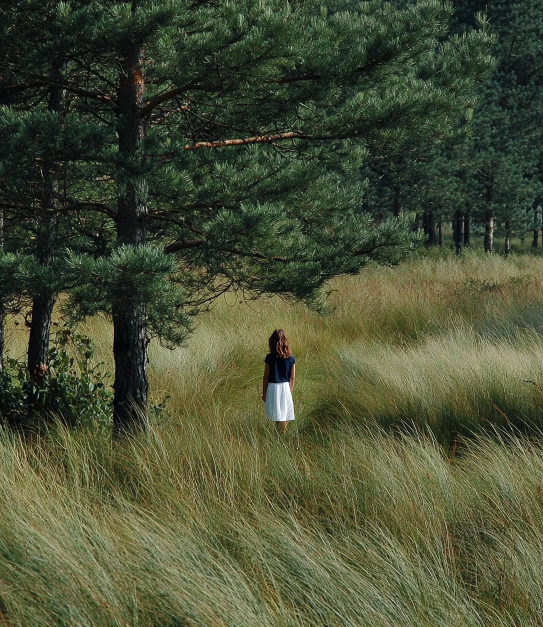 A figure walking in the meadow between pines