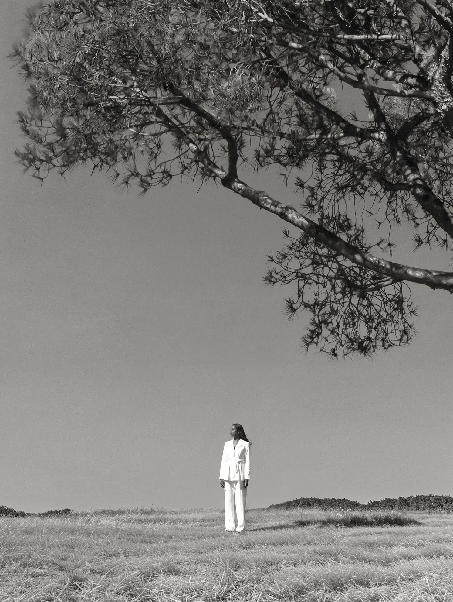 Black and white figure standing under the pine by the sea
