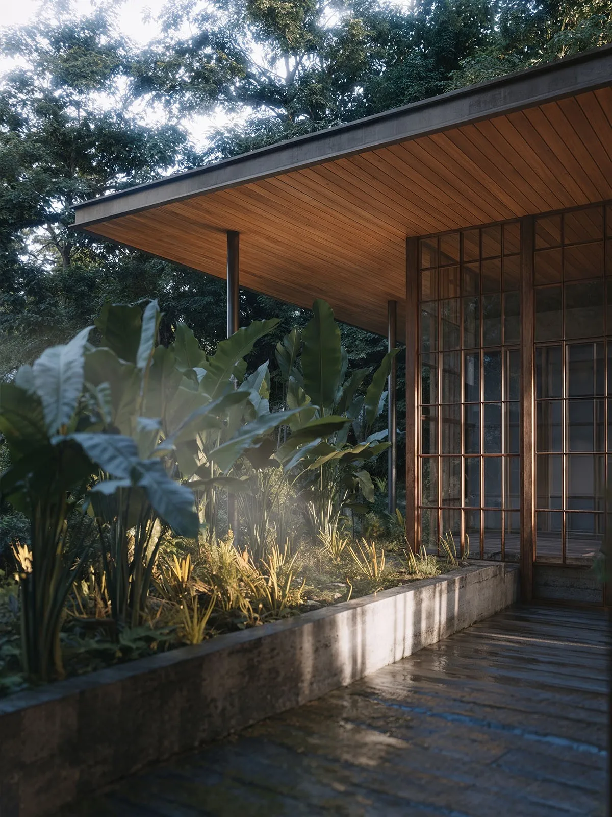 The veranda, plants under the timber ceiling