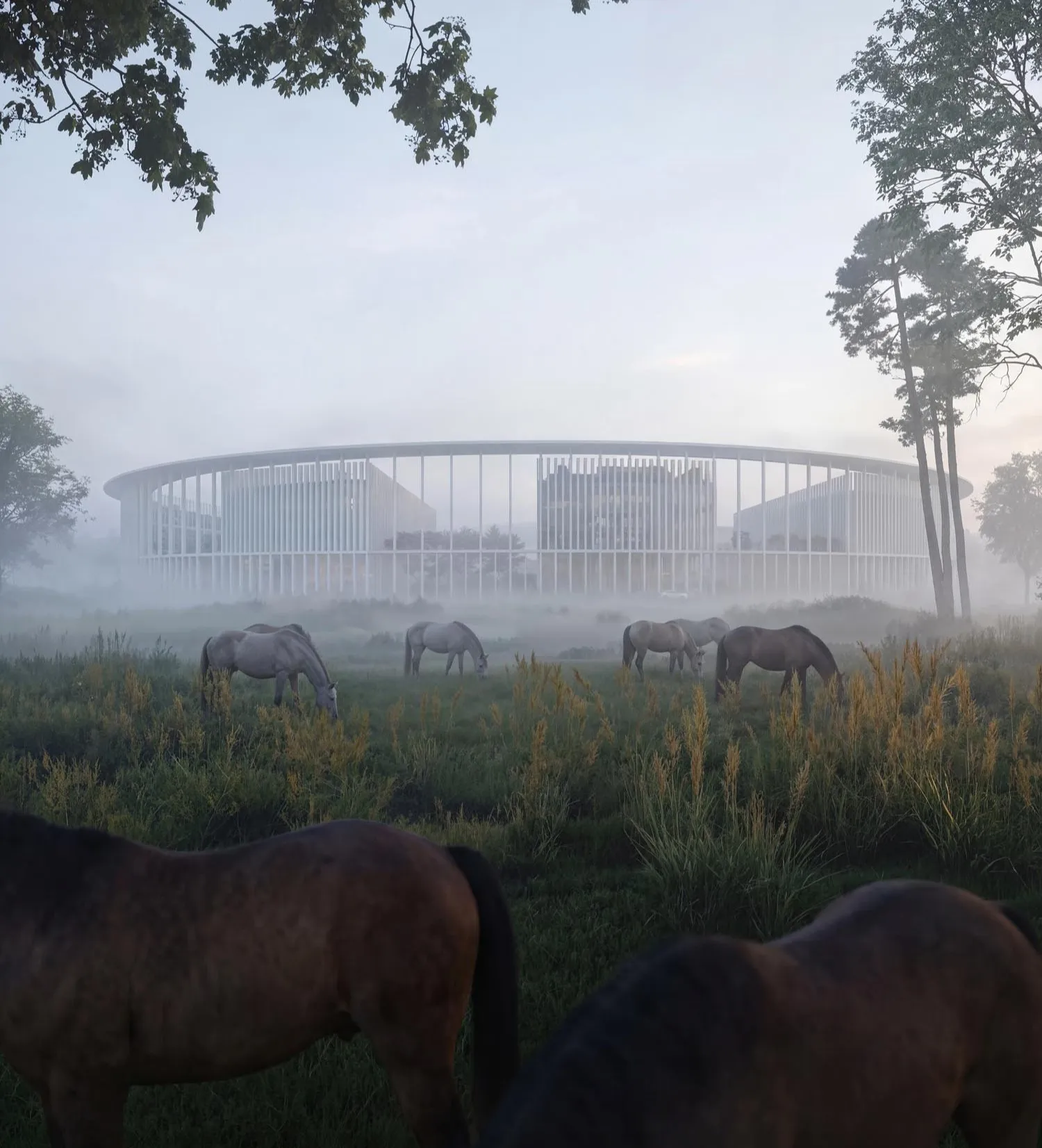 Horses close up in the mist