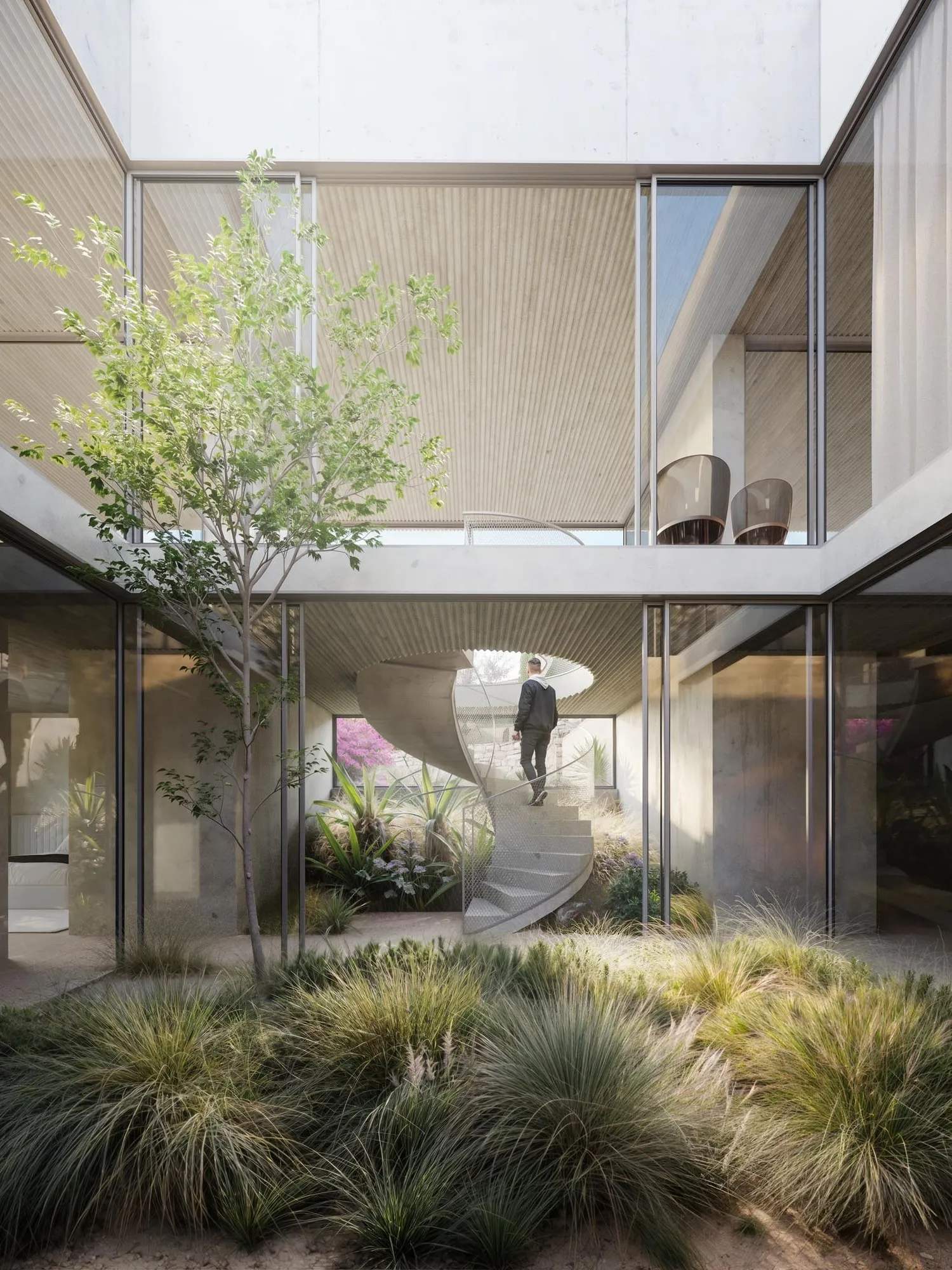 The inner courtyard with a tree and glass walls