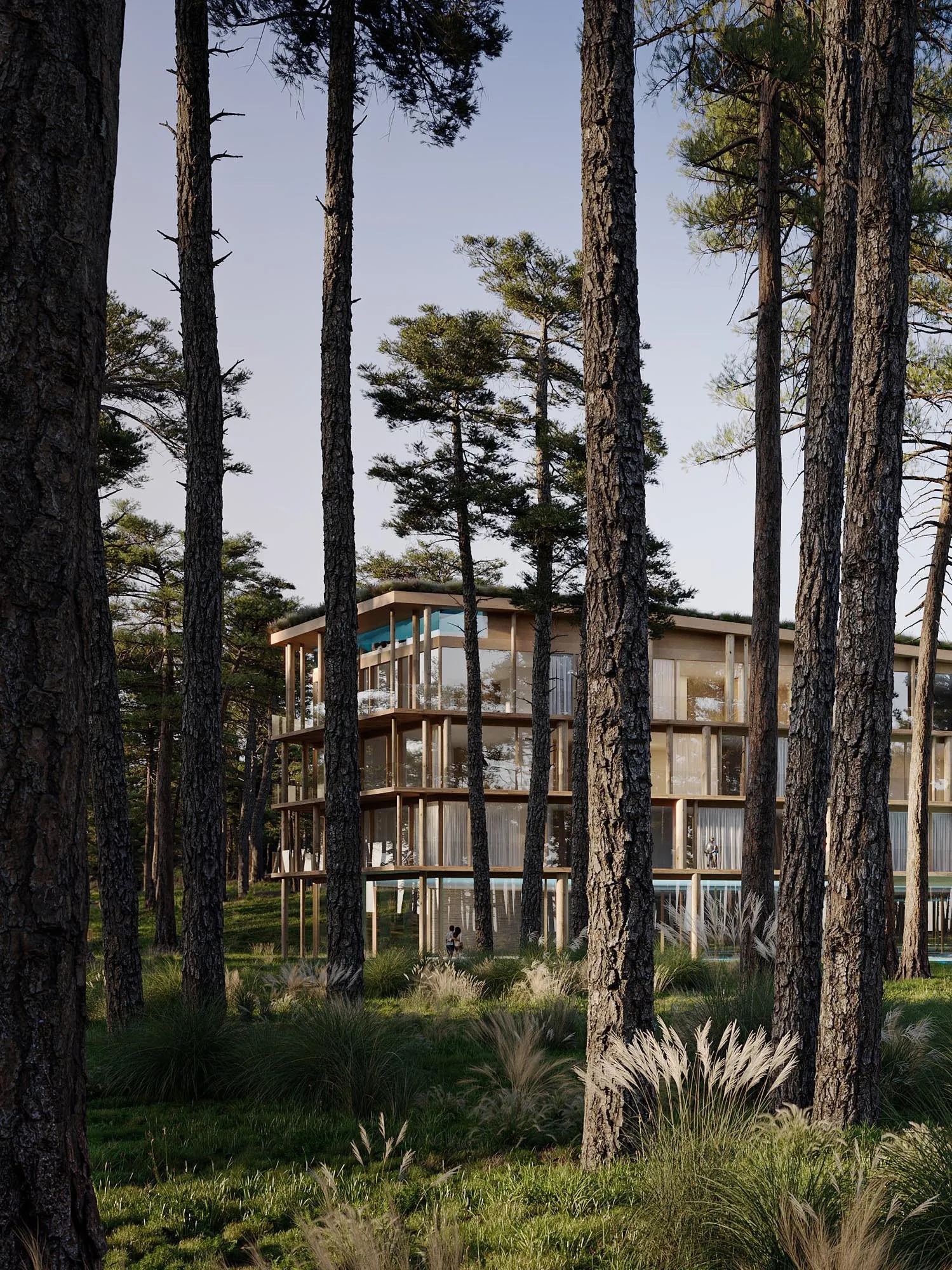 Building among pine trunks