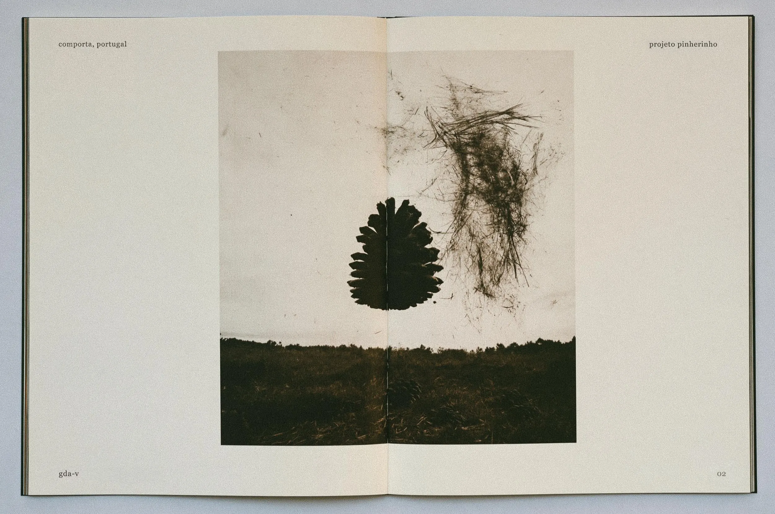 Open book with a pressed plant